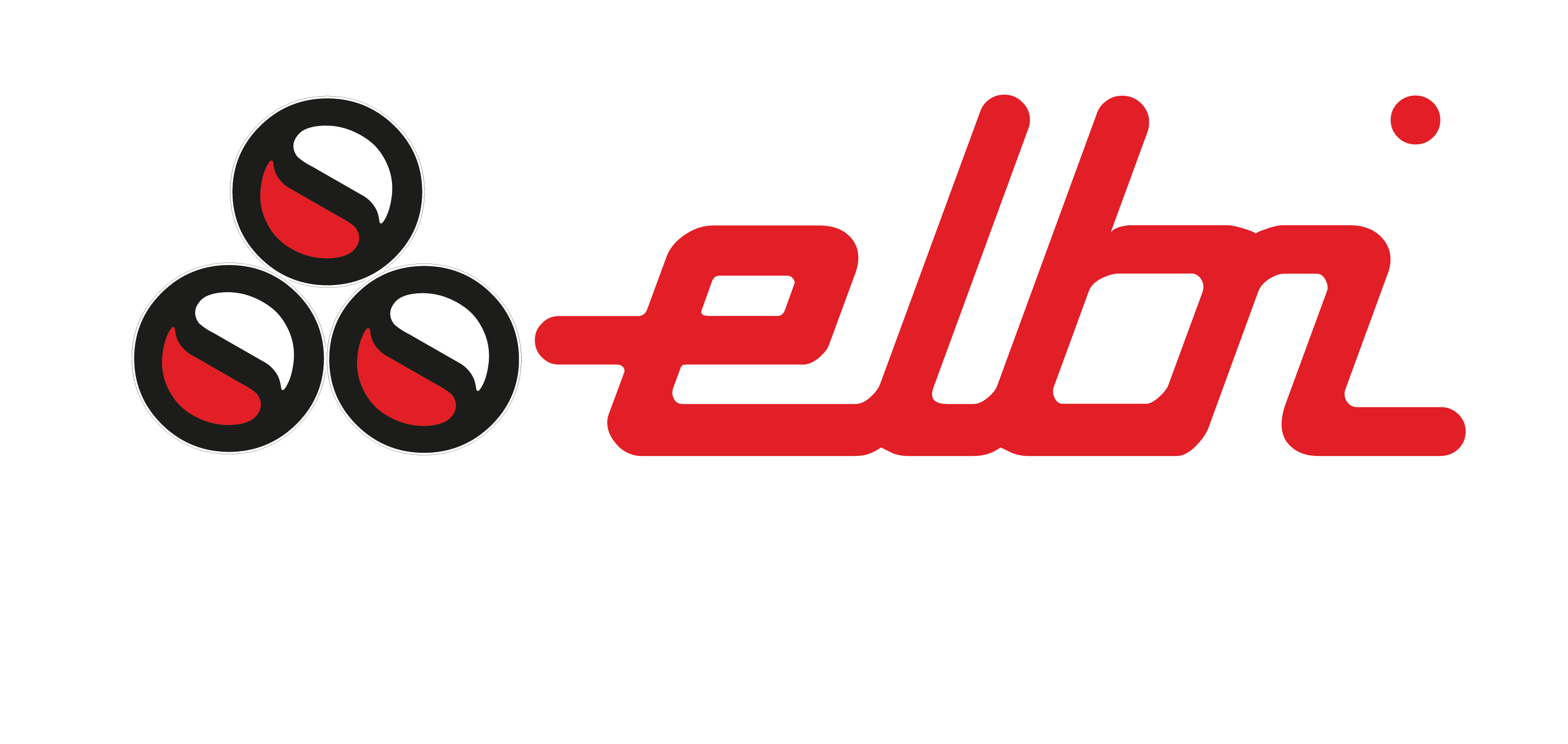 a division of Elbi of America